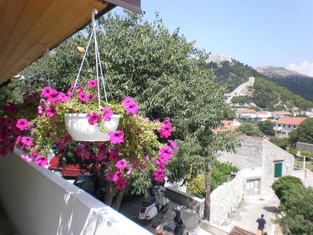 Barcot Apartman